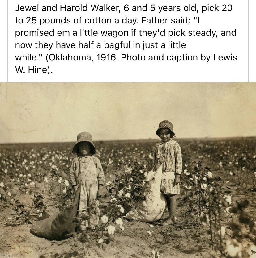 Wholesome story of hard work paying off. What went wrong in our society? Make America Great Again | image tagged in wholesome child labor story,child labor,hard work,value added,freedom,wholesome | made w/ Imgflip meme maker