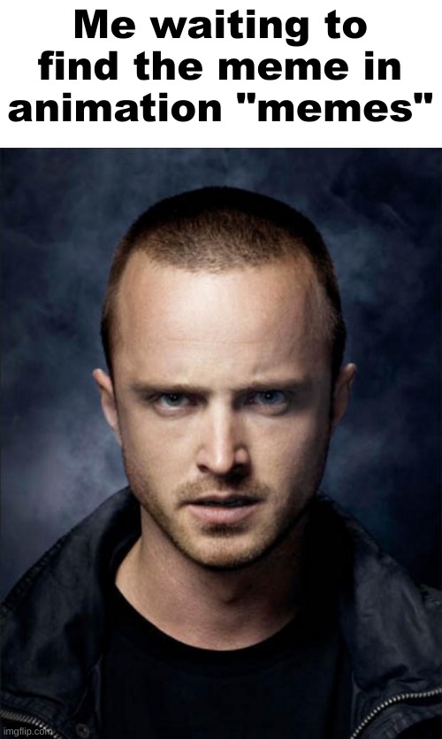 Jesse Pinkman | Me waiting to find the meme in animation "memes" | image tagged in jesse pinkman | made w/ Imgflip meme maker