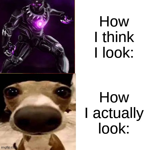 how i think i look | How I think I look:; How I actually look: | image tagged in black panther,dog | made w/ Imgflip meme maker