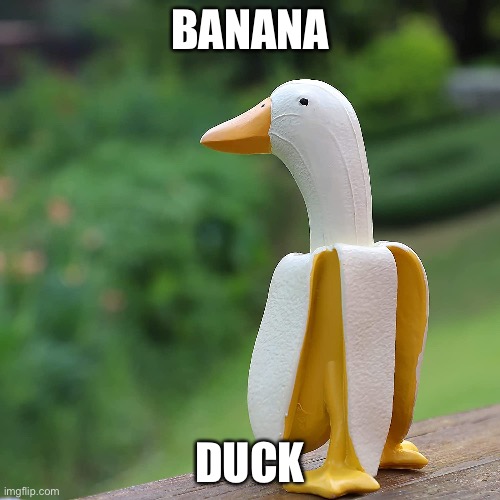 banana+duck=bananaduck! | BANANA; DUCK | image tagged in banana,duck,funny,lol,xd | made w/ Imgflip meme maker