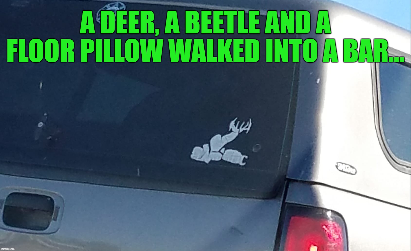 A DEER, A BEETLE AND A FLOOR PILLOW WALKED INTO A BAR... | image tagged in meme,memes,funny,humor | made w/ Imgflip meme maker