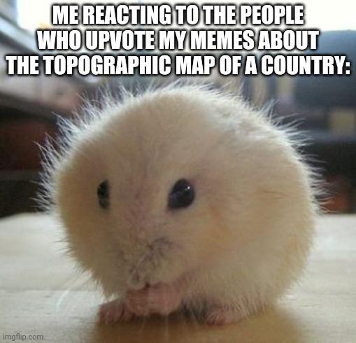 Like... Wut | ME REACTING TO THE PEOPLE WHO UPVOTE MY MEMES ABOUT THE TOPOGRAPHIC MAP OF A COUNTRY: | image tagged in cute gerbil cutest animal | made w/ Imgflip meme maker