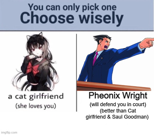 Ace attorney for the win | Pheonix Wright; (will defend you in court)
(better than Cat girlfriend & Saul Goodman) | image tagged in choose wisely,funny,memes,funny memes,phoenix wright,ace attorney | made w/ Imgflip meme maker