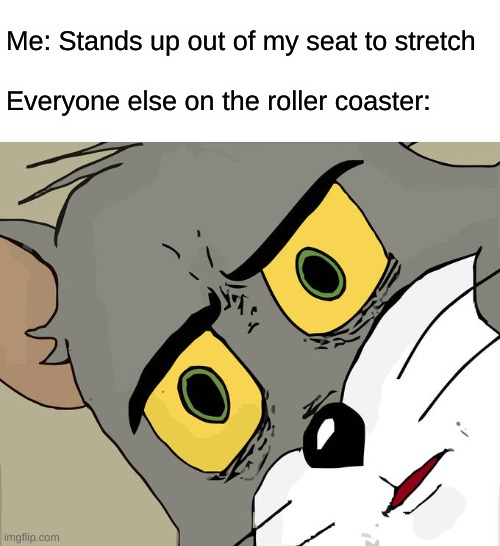 Why is everyone staring at me? | Me: Stands up out of my seat to stretch
                 Everyone else on the roller coaster: | image tagged in memes,unsettled tom,roller coaster,rollercoaster | made w/ Imgflip meme maker