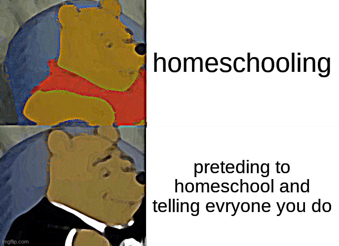 no homeschooling for you | homeschooling; preteding to homeschool and telling evryone you do | image tagged in memes,tuxedo winnie the pooh | made w/ Imgflip meme maker