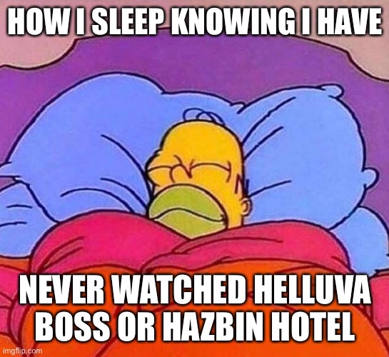 I made a different post in MSMG about it, but this one’s just funnier for the stream | HOW I SLEEP KNOWING I HAVE; NEVER WATCHED HELLUVA BOSS OR HAZBIN HOTEL | made w/ Imgflip meme maker