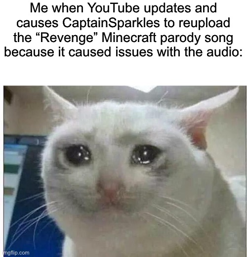 GRAB YOUR PICK, SHOVEL, AND BOLT AGAIN | Me when YouTube updates and causes CaptainSparkles to reupload the “Revenge” Minecraft parody song because it caused issues with the audio: | image tagged in crying cat | made w/ Imgflip meme maker