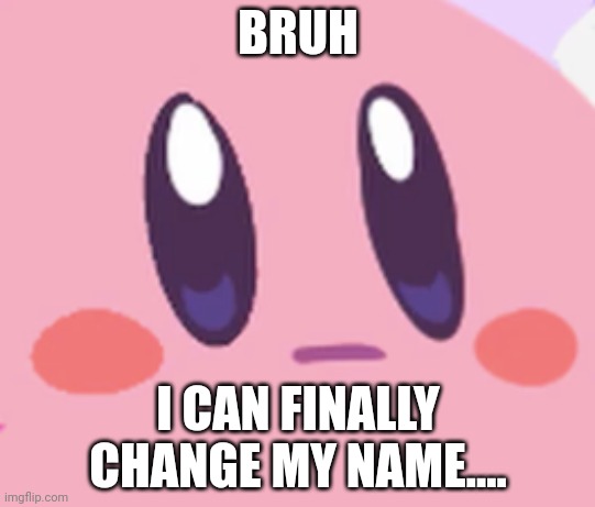 Well I can't use Spooky now -_- | BRUH; I CAN FINALLY CHANGE MY NAME.... | image tagged in blank kirby face | made w/ Imgflip meme maker
