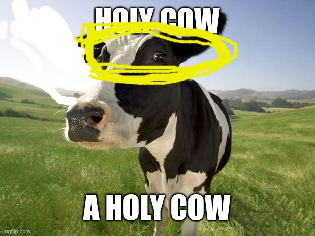 Wow | HOLY COW; A HOLY COW | image tagged in cow | made w/ Imgflip meme maker