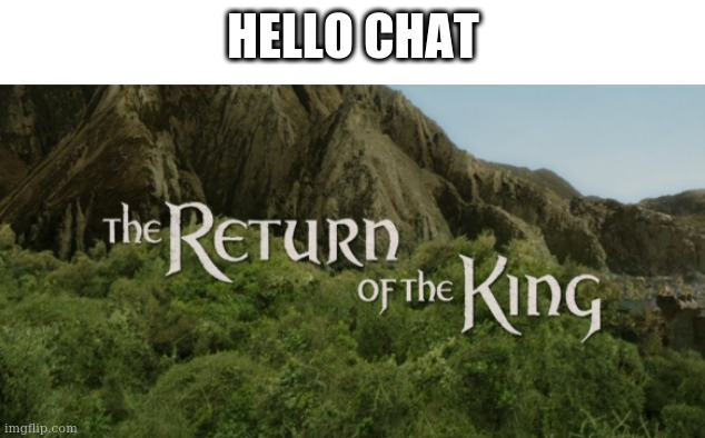 DAMMIT THEY BROUGHT THE NO HOMOPHOBIA RULE BACK NOOOOOOOOOOOO | HELLO CHAT | image tagged in the return of the king | made w/ Imgflip meme maker