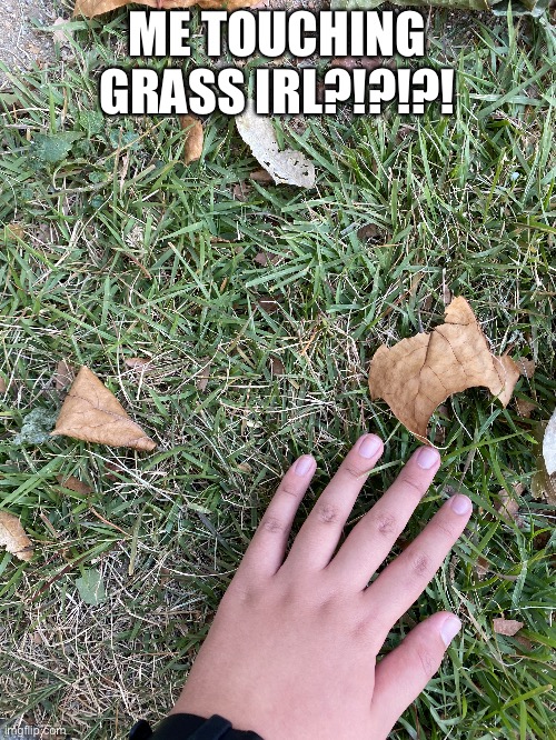 ME TOUCHING GRASS IRL?!?!?! | made w/ Imgflip meme maker