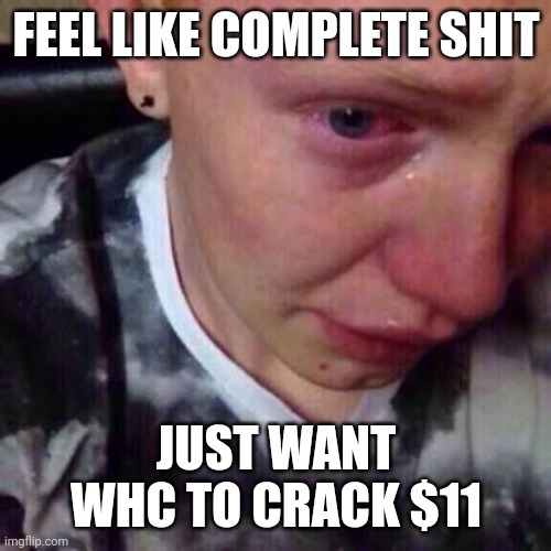 Feel like pure shit | FEEL LIKE COMPLETE SHIT; JUST WANT WHC TO CRACK $11 | image tagged in feel like pure shit | made w/ Imgflip meme maker