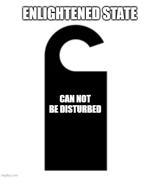 CAN NOT BE DISTURBED | ENLIGHTENED STATE; CAN NOT
BE DISTURBED | image tagged in memes | made w/ Imgflip meme maker