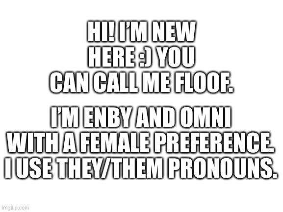 I hope we could be friends! :D (you can also call me Alex!) | HI! I’M NEW HERE :) YOU CAN CALL ME FLOOF. I’M ENBY AND OMNI WITH A FEMALE PREFERENCE. I USE THEY/THEM PRONOUNS. | image tagged in blank white template | made w/ Imgflip meme maker