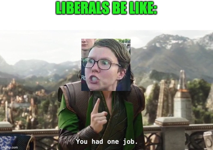 You had one job. Just the one | LIBERALS BE LIKE: | image tagged in you had one job just the one | made w/ Imgflip meme maker