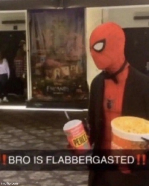 Bro is flabbergasted | image tagged in bro is flabbergasted | made w/ Imgflip meme maker