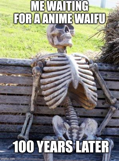 Waiting for a anime waifu | ME WAITING FOR A ANIME WAIFU; 100 YEARS LATER | image tagged in memes,waiting skeleton | made w/ Imgflip meme maker