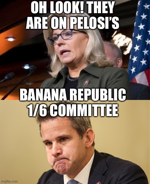 OH LOOK! THEY ARE ON PELOSI’S BANANA REPUBLIC 1/6 COMMITTEE | image tagged in liz cheney,adam kinzinger crying | made w/ Imgflip meme maker