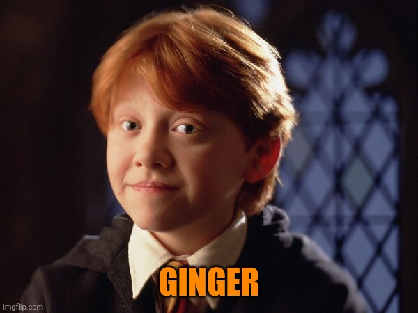 Ron Weasley | GINGER | image tagged in ron weasley | made w/ Imgflip meme maker