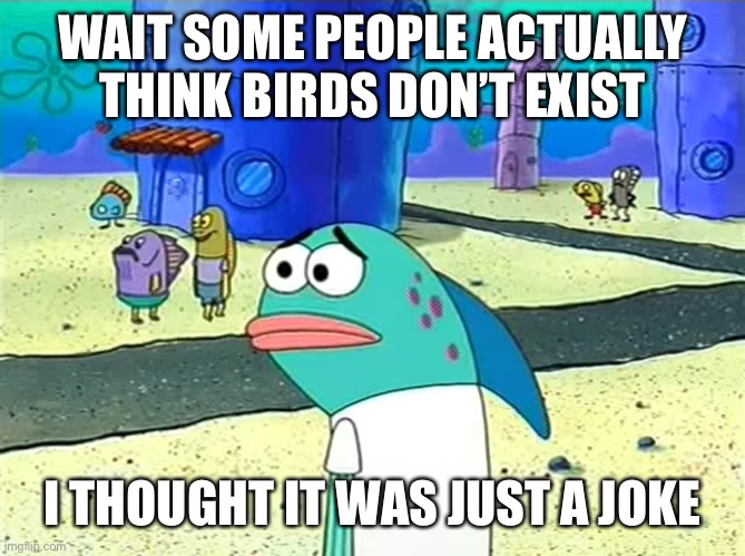 So did I | WAIT SOME PEOPLE ACTUALLY THINK BIRDS DON’T EXIST; I THOUGHT IT WAS JUST A JOKE | image tagged in spongebob i thought it was a joke | made w/ Imgflip meme maker