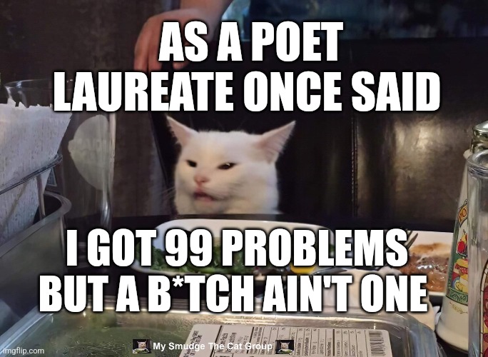 AS A POET LAUREATE ONCE SAID; I GOT 99 PROBLEMS BUT A B*TCH AIN'T ONE | image tagged in smudge the cat | made w/ Imgflip meme maker