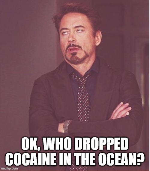 Face You Make Robert Downey Jr Meme | OK, WHO DROPPED COCAINE IN THE OCEAN? | image tagged in memes,face you make robert downey jr | made w/ Imgflip meme maker