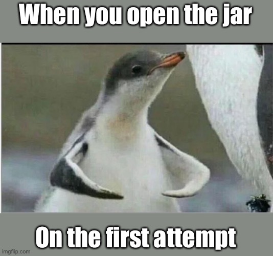 Penguin B Strong | When you open the jar; On the first attempt | image tagged in penguin flexing,open,strong | made w/ Imgflip meme maker