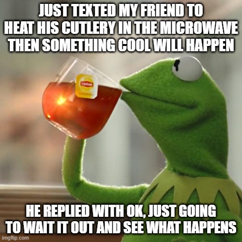 we all know how this is going to go... | JUST TEXTED MY FRIEND TO HEAT HIS CUTLERY IN THE MICROWAVE THEN SOMETHING COOL WILL HAPPEN; HE REPLIED WITH OK, JUST GOING TO WAIT IT OUT AND SEE WHAT HAPPENS | image tagged in memes,but that's none of my business,kermit the frog,welp,not my problem | made w/ Imgflip meme maker