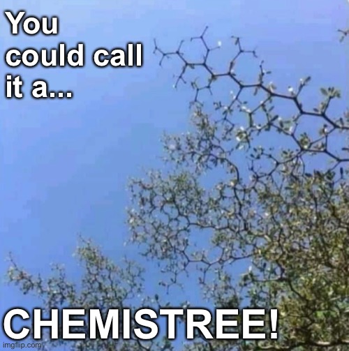 The branches look like my science lessons | You could call it a... CHEMISTREE! | image tagged in memes,unfunny | made w/ Imgflip meme maker
