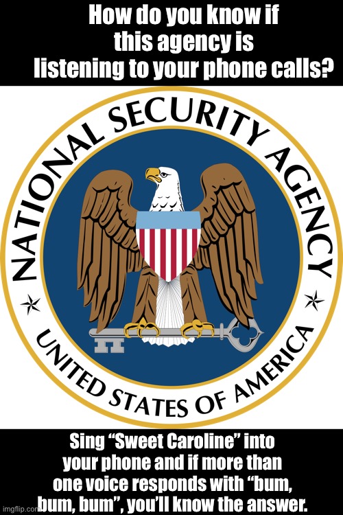 Bum, Bum, Bum | How do you know if this agency is listening to your phone calls? Sing “Sweet Caroline” into your phone and if more than one voice responds with “bum, bum, bum”, you’ll know the answer. | image tagged in nsa | made w/ Imgflip meme maker