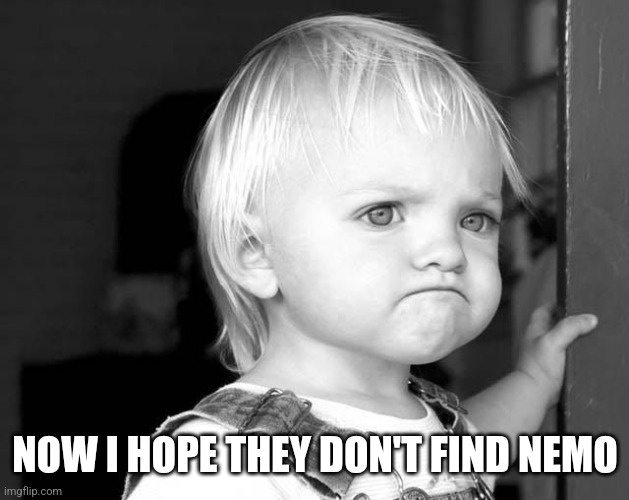 FROWN KID | NOW I HOPE THEY DON'T FIND NEMO | image tagged in frown kid | made w/ Imgflip meme maker