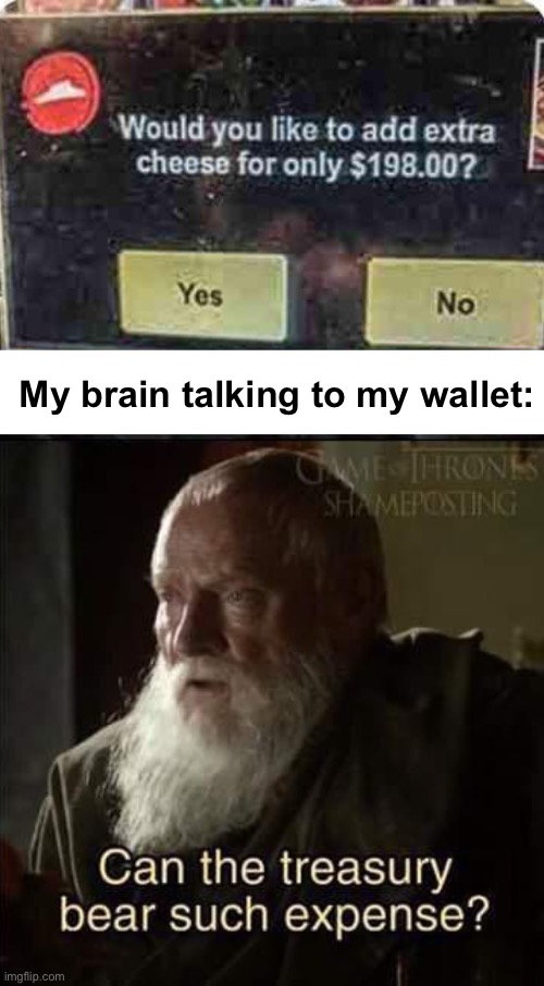 Worth every penny | My brain talking to my wallet: | image tagged in can the treasury bear such expense,memes,unfunny | made w/ Imgflip meme maker