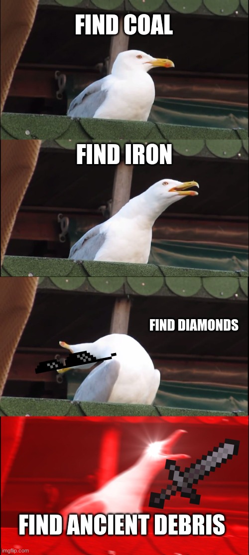 Inhaling Seagull |  FIND COAL; FIND IRON; FIND DIAMONDS; FIND ANCIENT DEBRIS | image tagged in memes,inhaling seagull | made w/ Imgflip meme maker