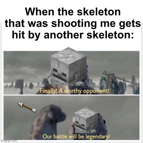 Always fun to watch | When the skeleton that was shooting me gets hit by another skeleton: | image tagged in finally a worthy opponent,memes,unfunny | made w/ Imgflip meme maker