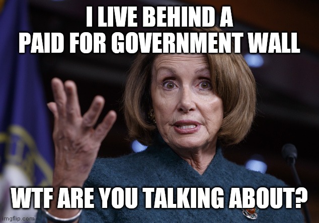 Good old Nancy Pelosi | I LIVE BEHIND A PAID FOR GOVERNMENT WALL WTF ARE YOU TALKING ABOUT? | image tagged in good old nancy pelosi | made w/ Imgflip meme maker