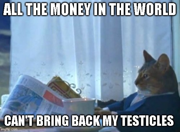 Rosebud | ALL THE MONEY IN THE WORLD; CAN'T BRING BACK MY TESTICLES | image tagged in memes,i should buy a boat cat | made w/ Imgflip meme maker