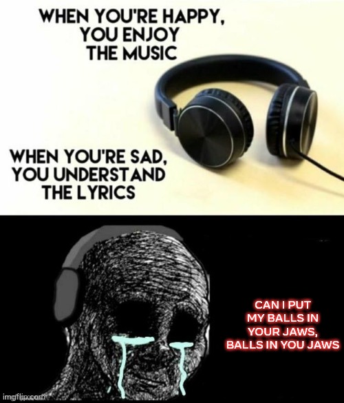 ahhhhhh thats hot... | CAN I PUT MY BALLS IN YOUR JAWS, BALLS IN YOU JAWS | image tagged in when your sad you understand the lyrics | made w/ Imgflip meme maker