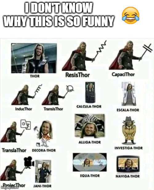 All kinds of Thor | I DON'T KNOW WHY THIS IS SO FUNNY | image tagged in thor | made w/ Imgflip meme maker