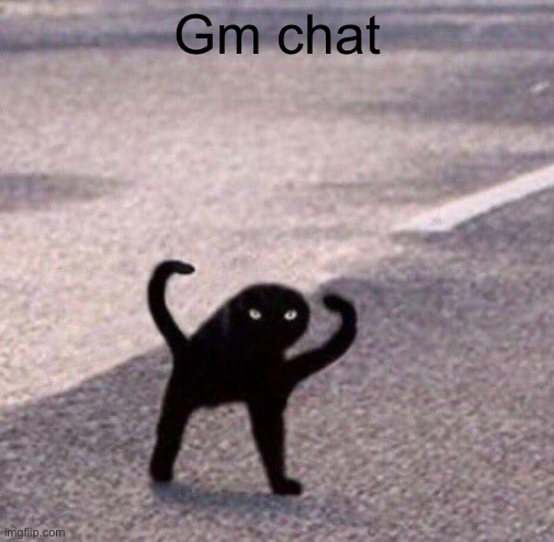 Cursed cat temp | Gm Chat | image tagged in cursed cat temp | made w/ Imgflip meme maker