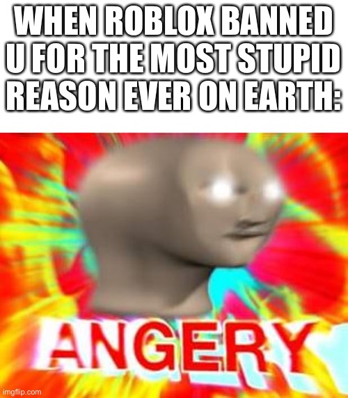 My reaction: | WHEN ROBLOX BANNED U FOR THE MOST STUPID REASON EVER ON EARTH: | image tagged in surreal angery,roblox,roblox moderation | made w/ Imgflip meme maker