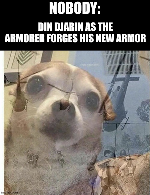 Mando | NOBODY:; DIN DJARIN AS THE ARMORER FORGES HIS NEW ARMOR | image tagged in ptsd chihuahua | made w/ Imgflip meme maker
