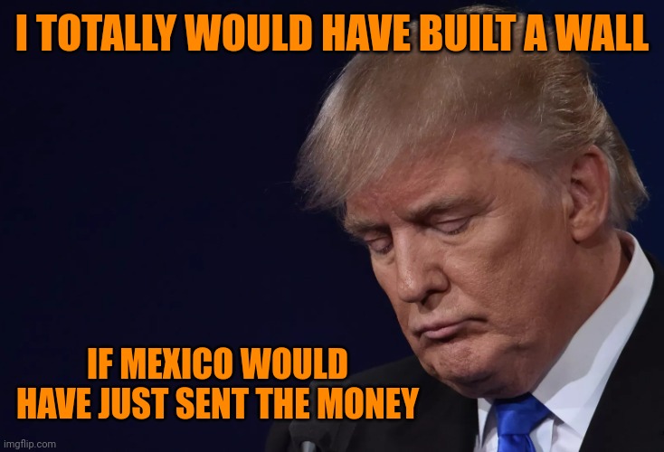 Donate to build-a-wall please | I TOTALLY WOULD HAVE BUILT A WALL; IF MEXICO WOULD HAVE JUST SENT THE MONEY | image tagged in trump looking down sad | made w/ Imgflip meme maker