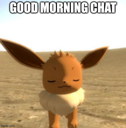 skrunkle | GOOD MORNING CHAT | image tagged in calm eevee | made w/ Imgflip meme maker