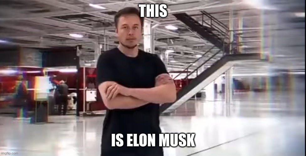 This is Elon Musk | THIS IS ELON MUSK | image tagged in this is elon musk | made w/ Imgflip meme maker