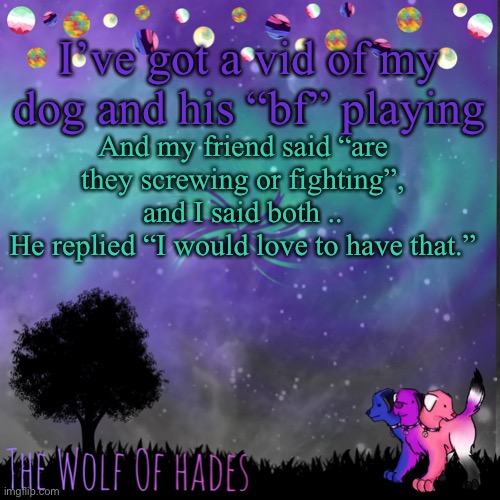 It hurt me | I’ve got a vid of my dog and his “bf” playing; And my friend said “are they screwing or fighting”, and I said both ..
He replied “I would love to have that.” | image tagged in thewolfofhades announces crap v 694201723696969 | made w/ Imgflip meme maker