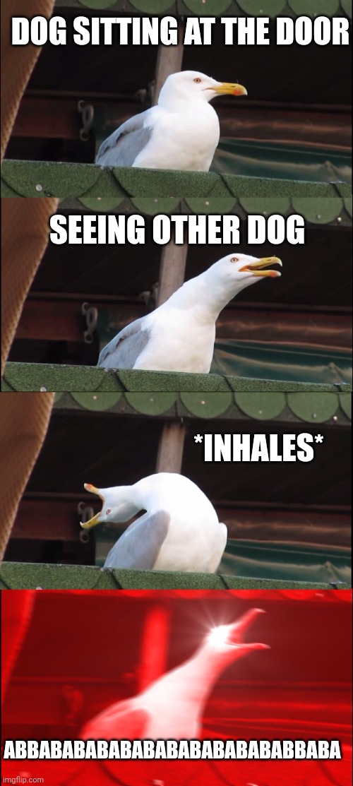 Inhaling Seagull | DOG SITTING AT THE DOOR; SEEING OTHER DOG; *INHALES*; ABBABABABABABABABABABABABBABA | image tagged in memes,inhaling seagull | made w/ Imgflip meme maker