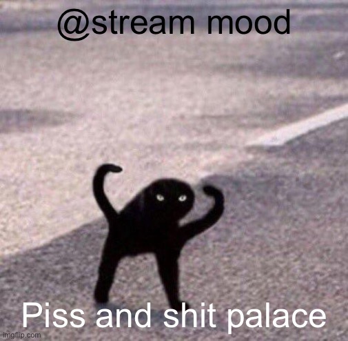 Cursed cat temp | @stream mood; Piss and shit palace | image tagged in cursed cat temp | made w/ Imgflip meme maker