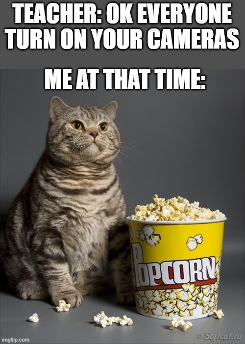 eating before class you know | TEACHER: OK EVERYONE TURN ON YOUR CAMERAS; ME AT THAT TIME: | image tagged in cat eating popcorn | made w/ Imgflip meme maker