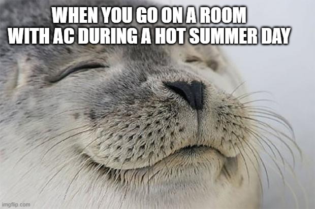 love the feeling omg | WHEN YOU GO ON A ROOM WITH AC DURING A HOT SUMMER DAY | image tagged in memes,satisfied seal | made w/ Imgflip meme maker