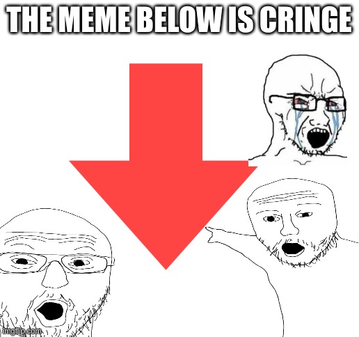 idk if its true | THE MEME BELOW IS CRINGE | image tagged in blank white template | made w/ Imgflip meme maker